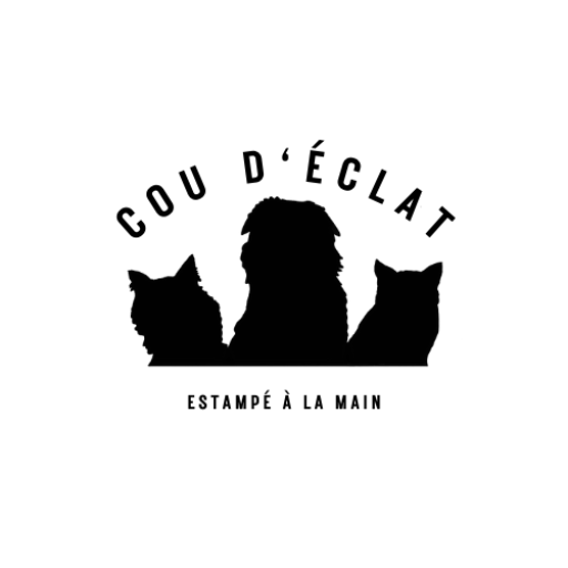 coudeclatmedailles.com