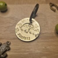 Double Médaille Coyote Buttes