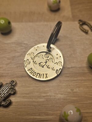 Double Médaille Coyote Buttes