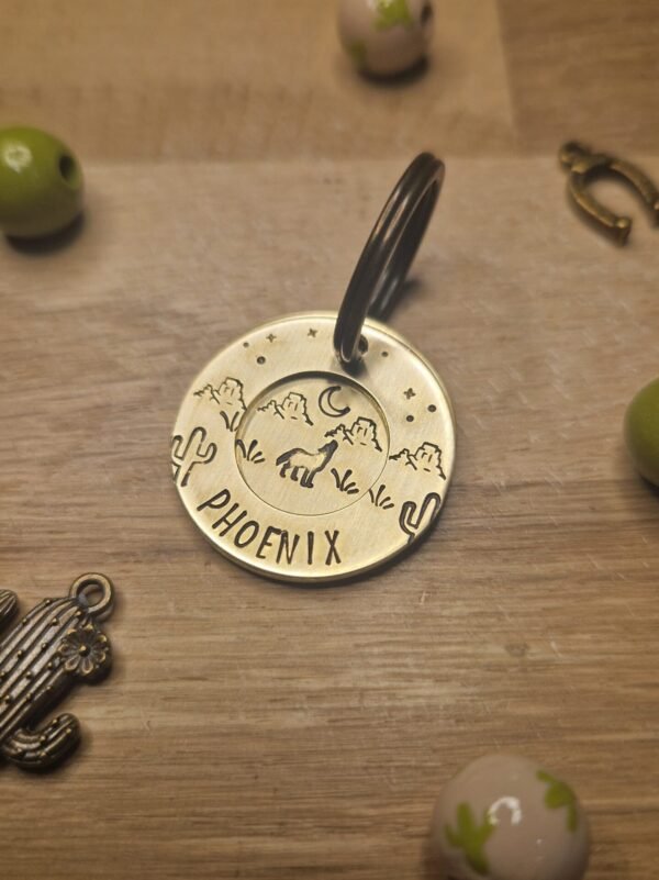 Double Médaille Coyote Buttes