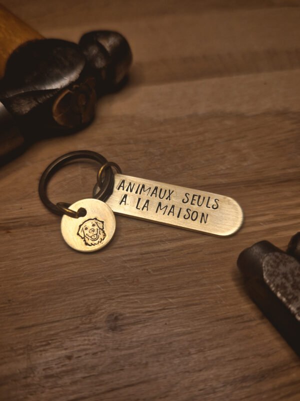 Porte clés "Animaux seuls à la maison"