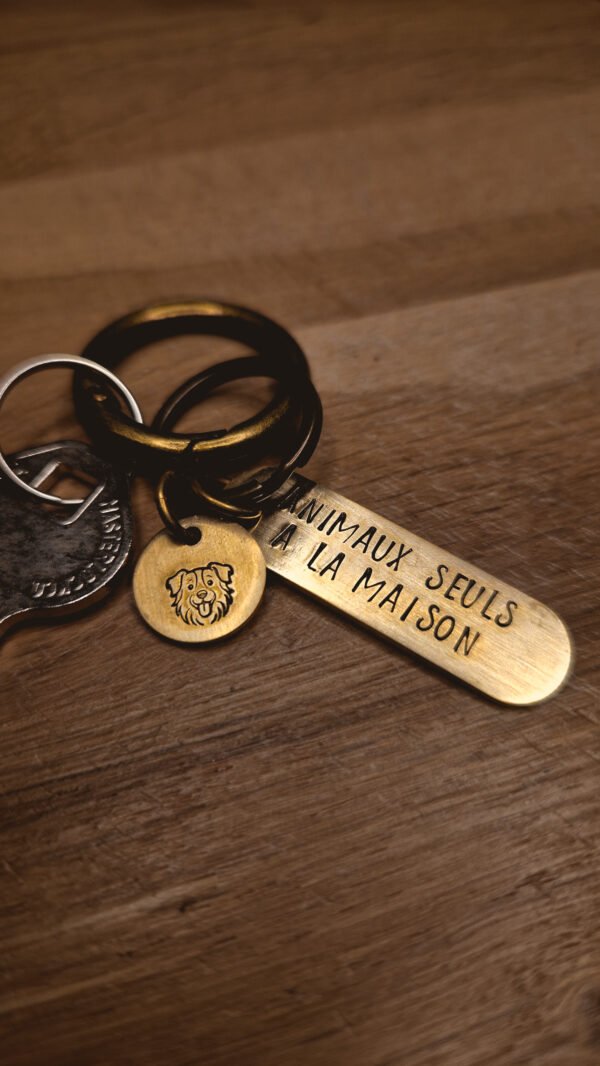 Porte clés "Animaux seuls à la maison"