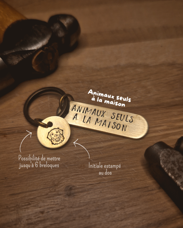 Porte clés "Animaux seuls à la maison"