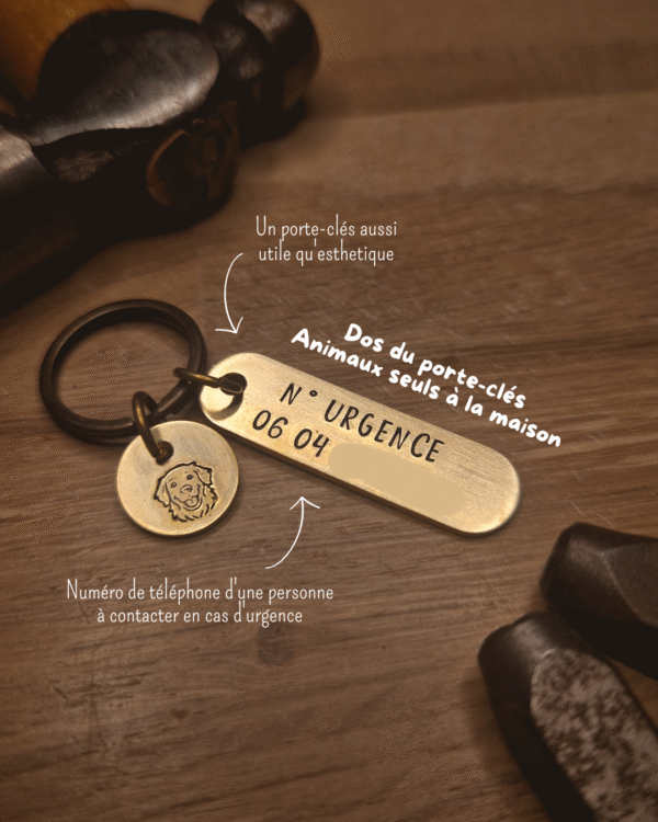 Porte clés "Animaux seuls à la maison"